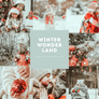 WINTER WONDERLAND | Presets by Maxine Stevens
