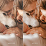 MINIMAL WARM | Presets by Maxine Stevens