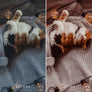 FALL | Presets by Maxine Stevens