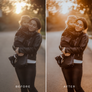 BRIGHT PUMPKIN | Presets by Maxine Stevens