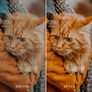 BRIGHT PUMPKIN | Presets by Maxine Stevens