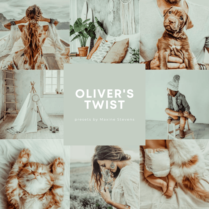 OLIVER'S TWIST | Presets by Maxine Stevens
